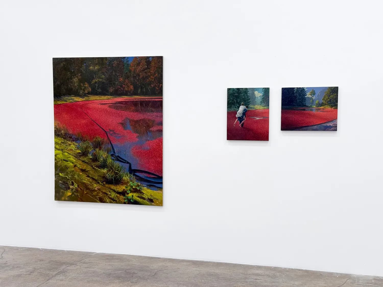 Installation view