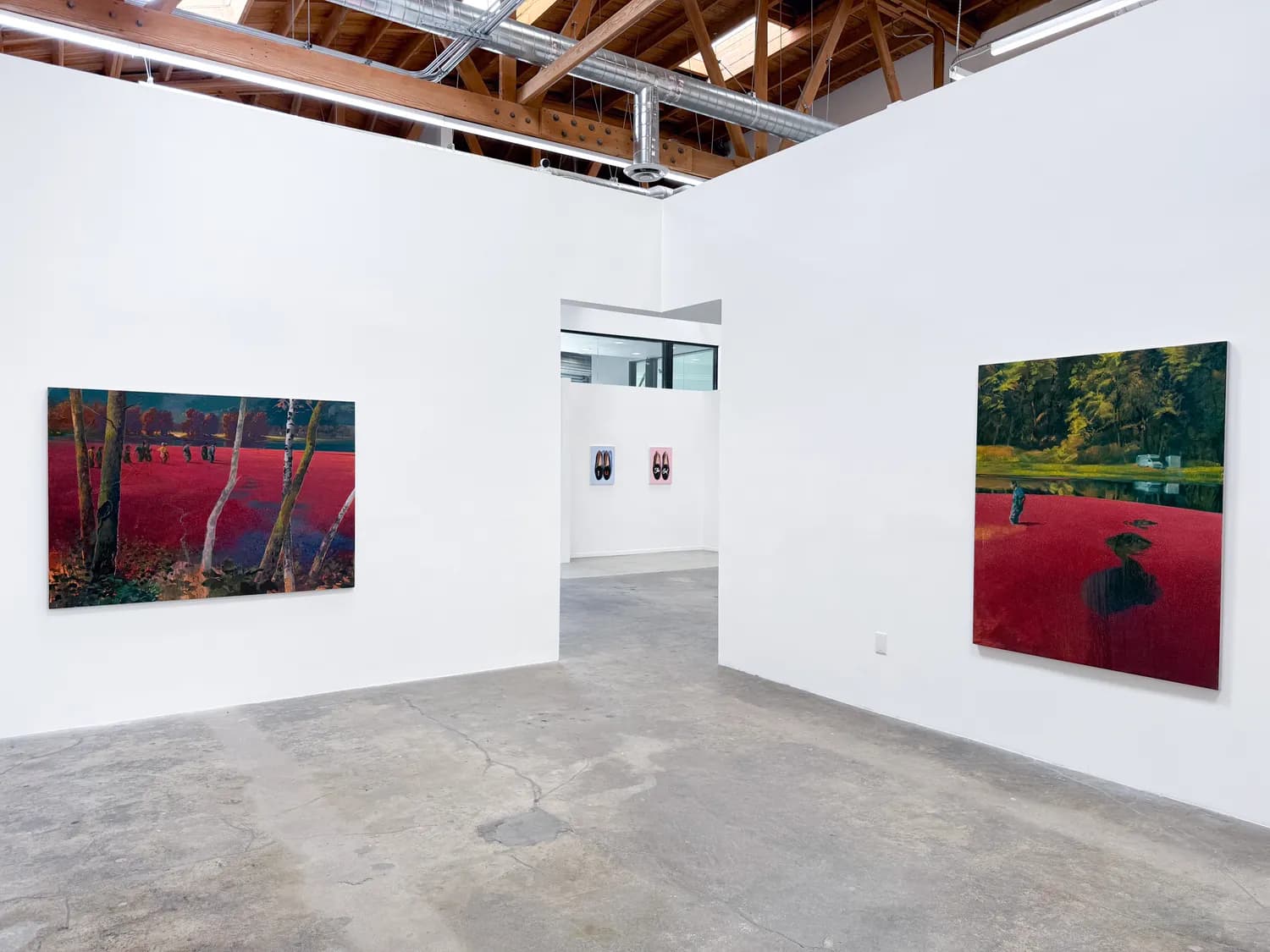Installation view