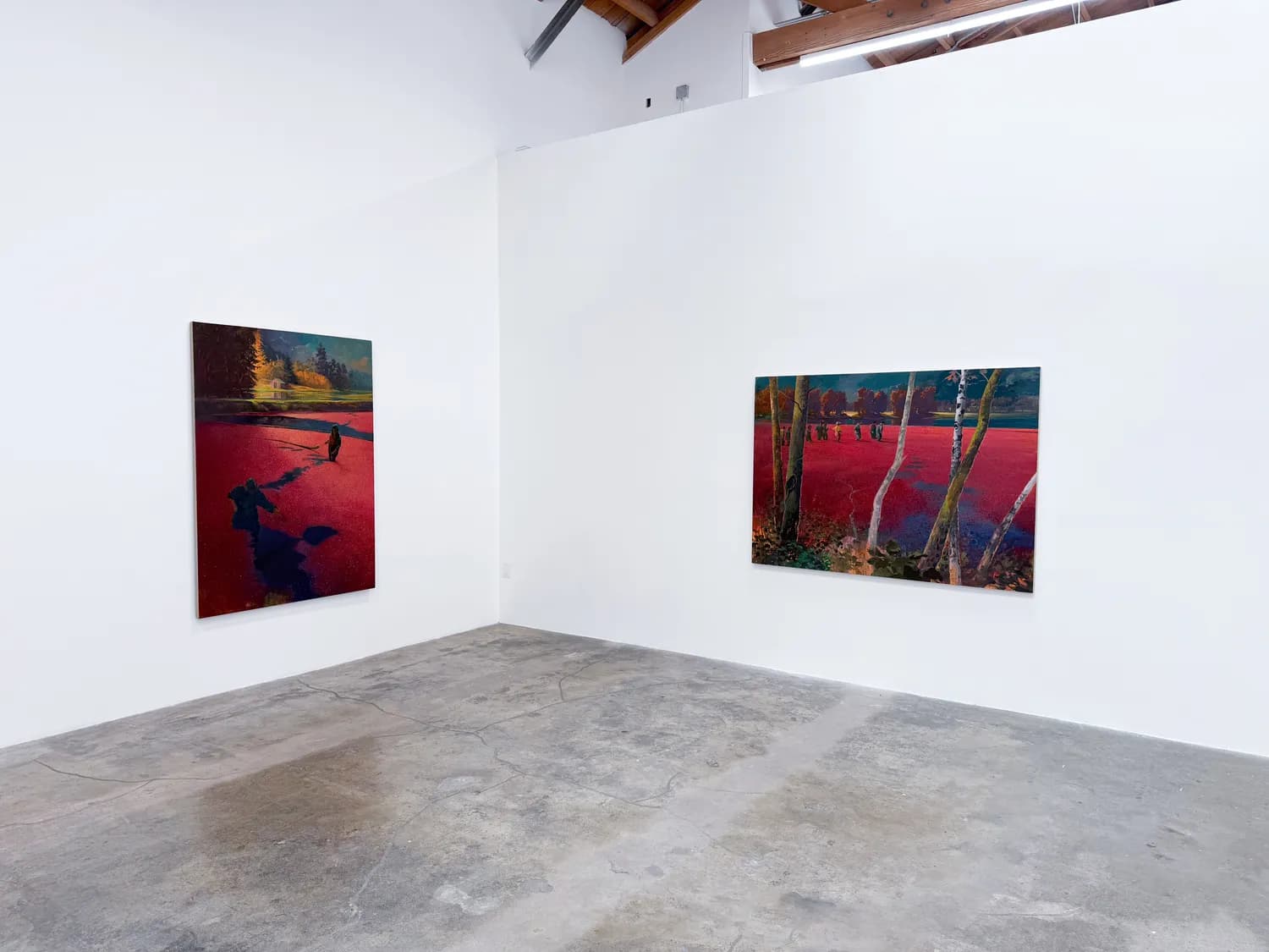 Installation view