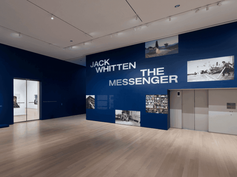 Installation view