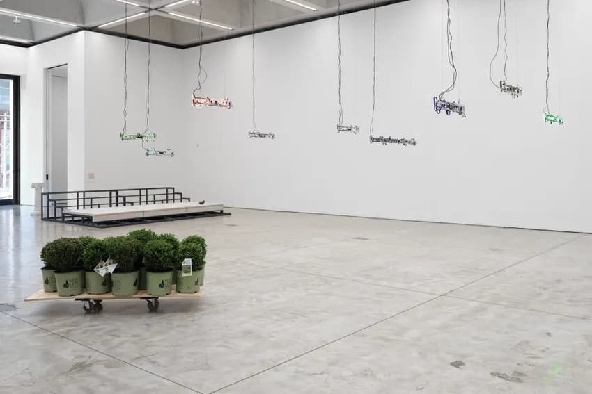 Installation view