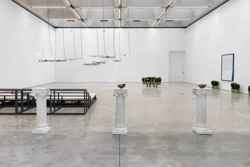Installation view