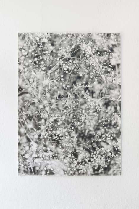 Jochen Lempert
