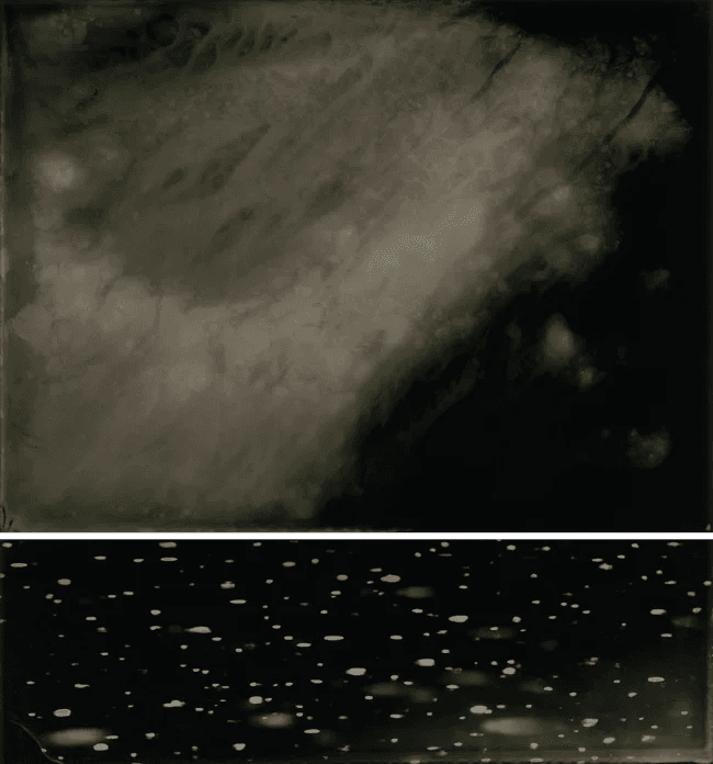 Landscape and Alchemy