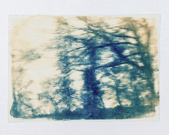 Landscape and Alchemy