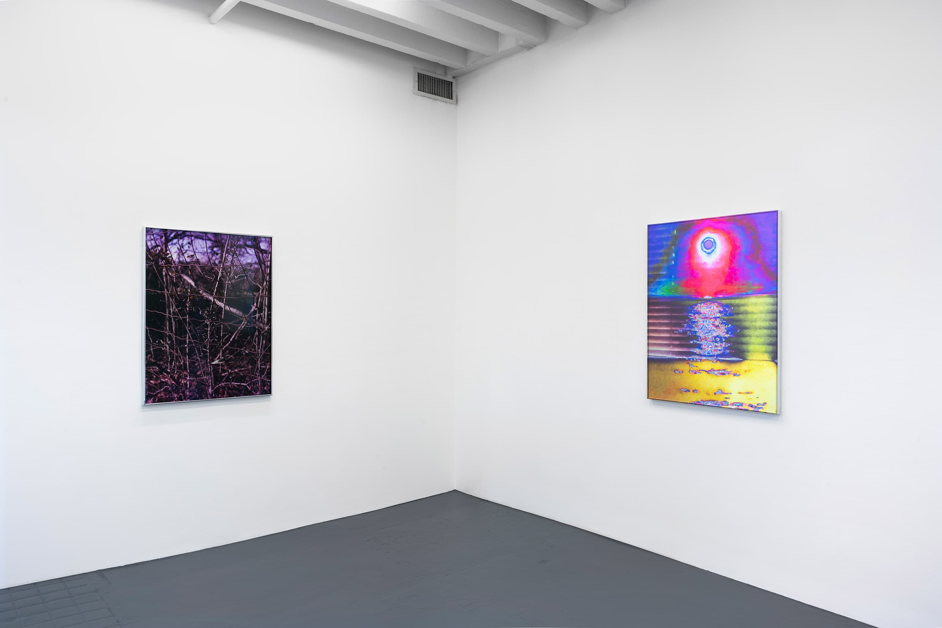 Installation view 1 of 6