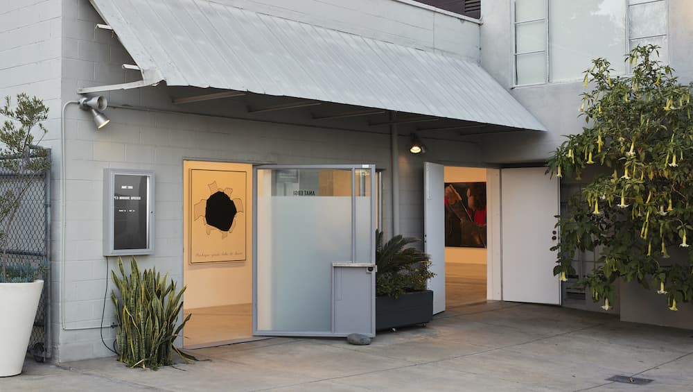 Anat Ebgi, Los Angeles