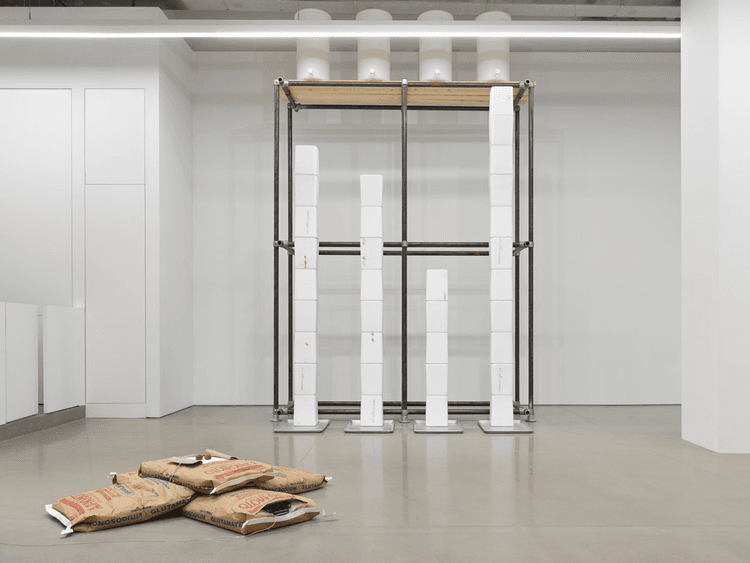 Michael Joo: Sweat Models 1991-2026