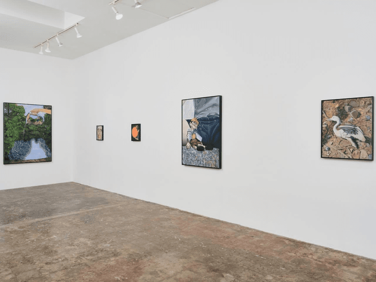 Daniel Ingroff: Siphoning