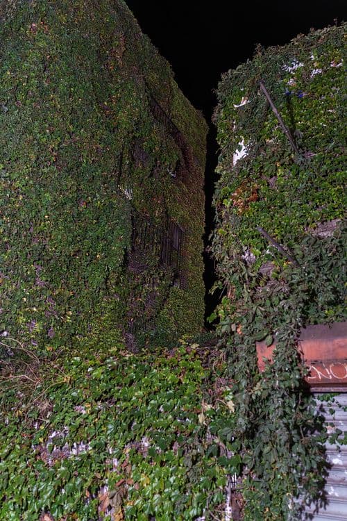 Leonardo Madriz: Do Not Be Afraid