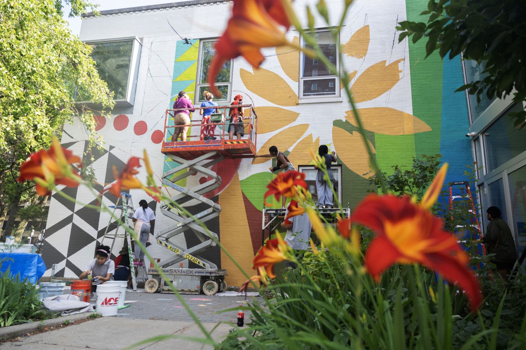 Installation view