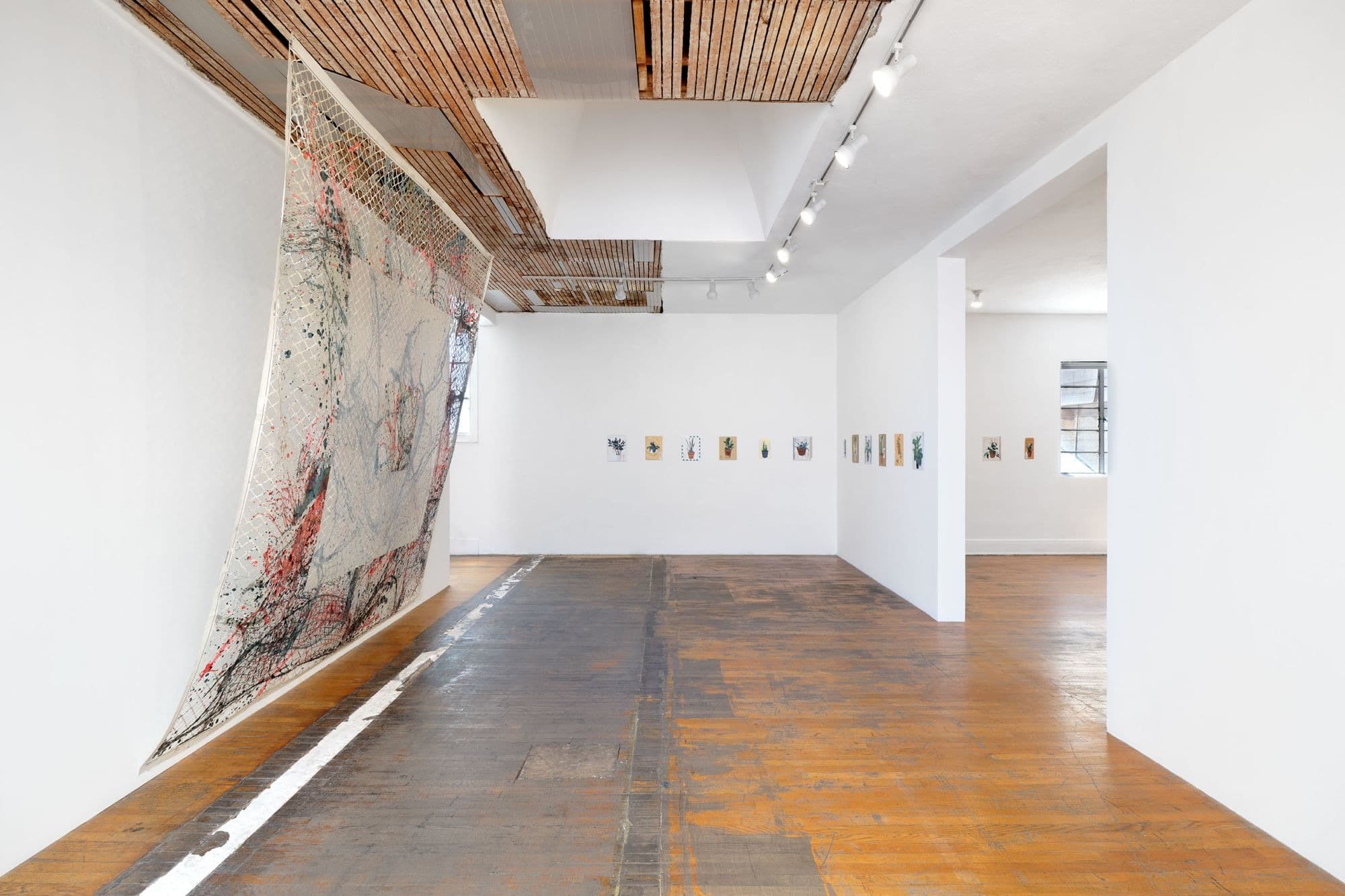 Installation view