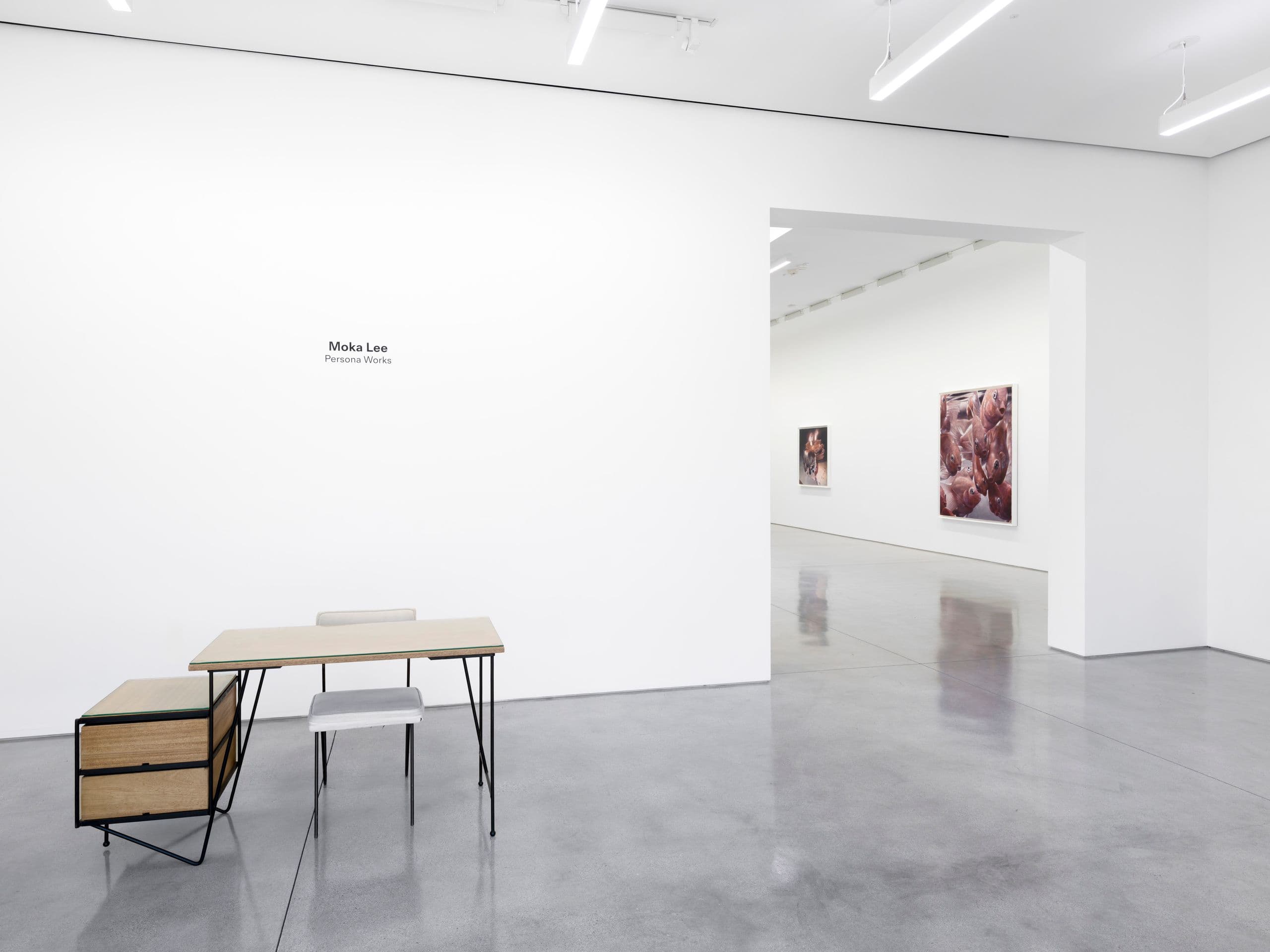 Installation view