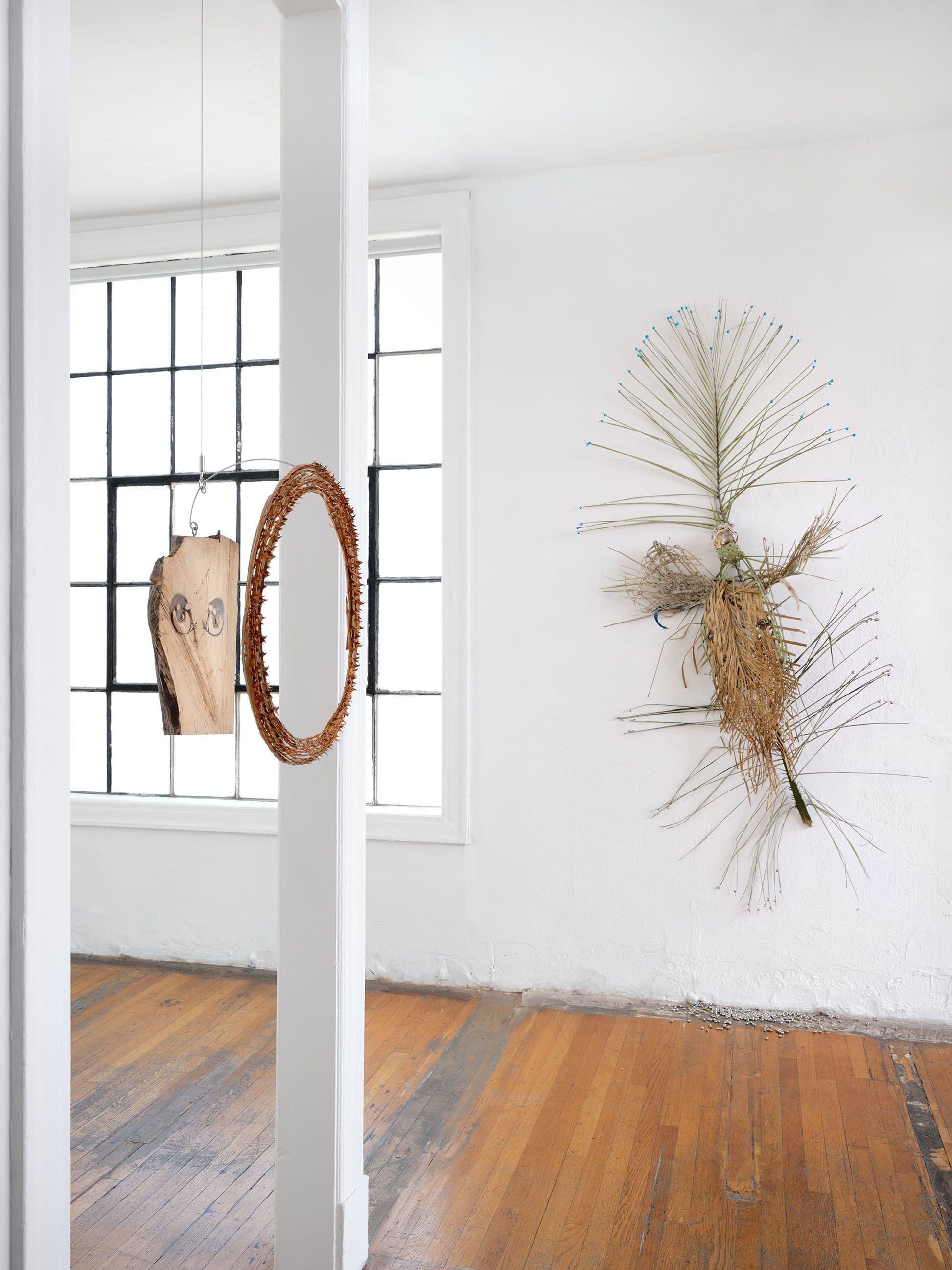 Installation view