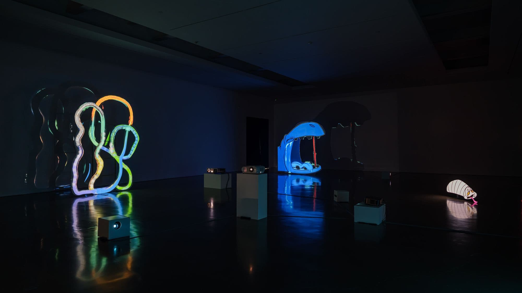 Installation view