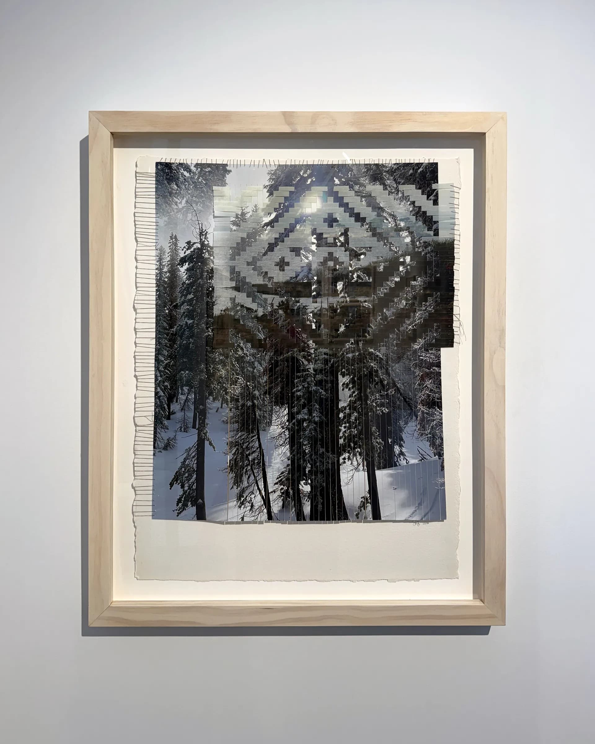 Installation view, Sarah Sense: Land, Line, Blood, Memory, Bruce Silverstein Gallery, New York, 2026