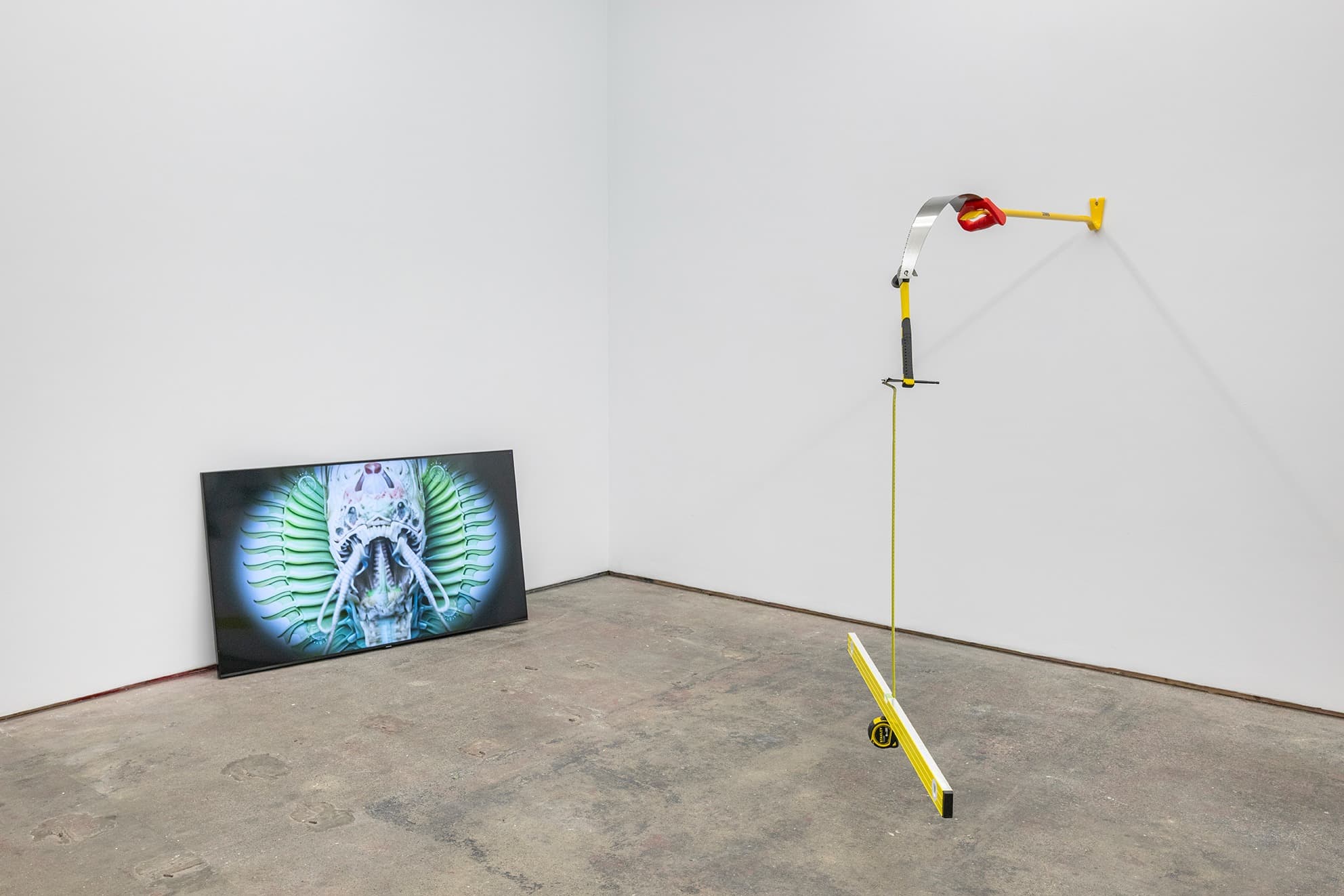 Installation view