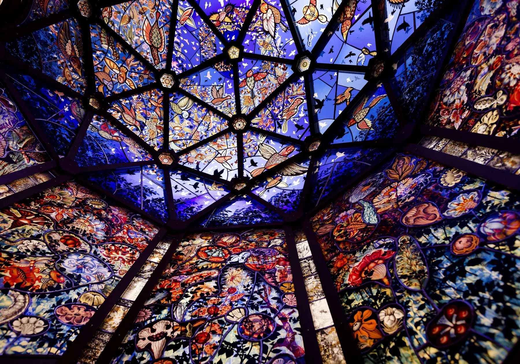 Judith Schaechter: Super/Natural