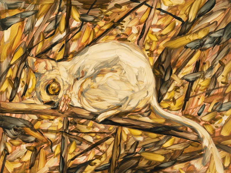 Heidi Fourie: Soft Release