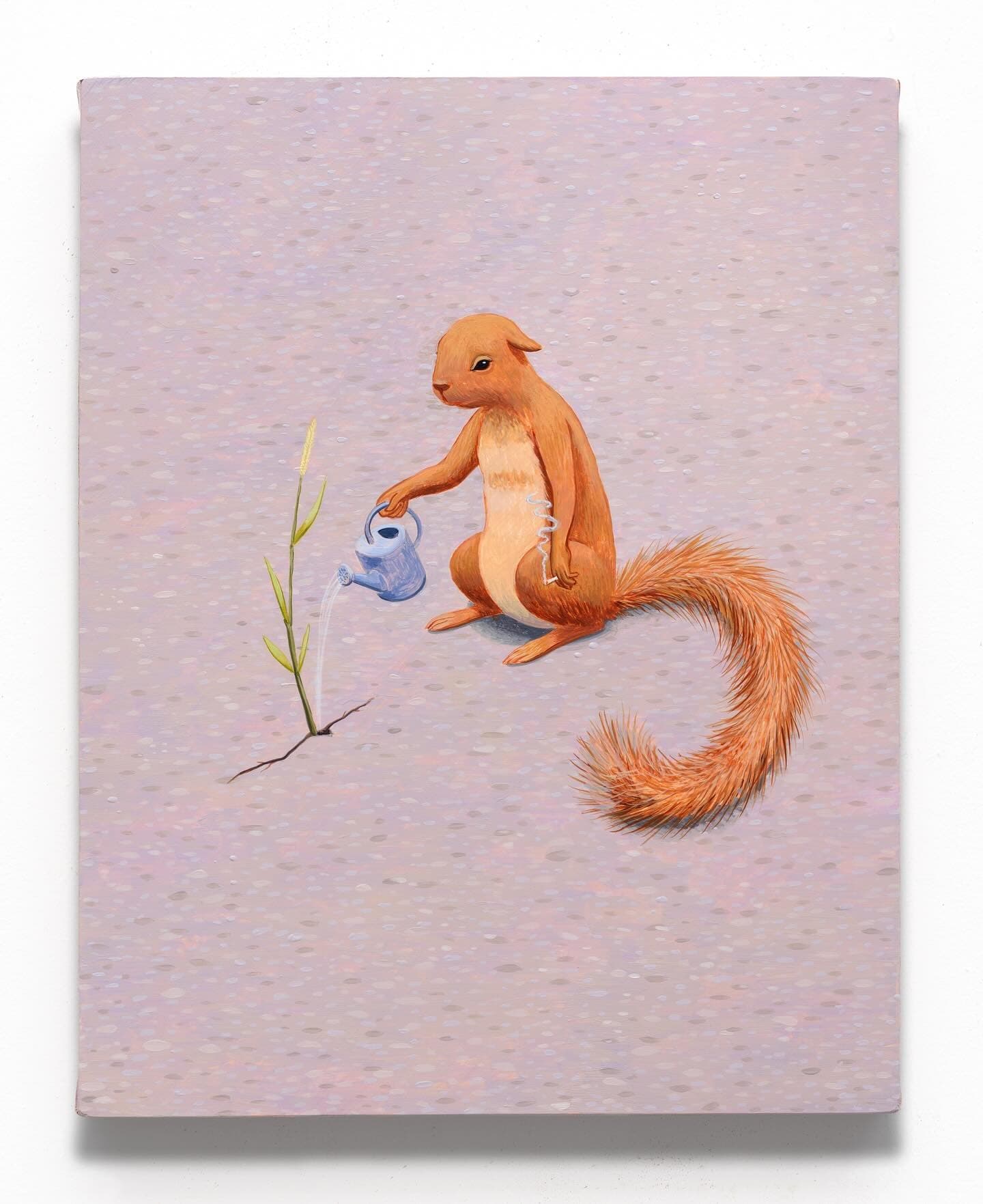 Squirrel Show