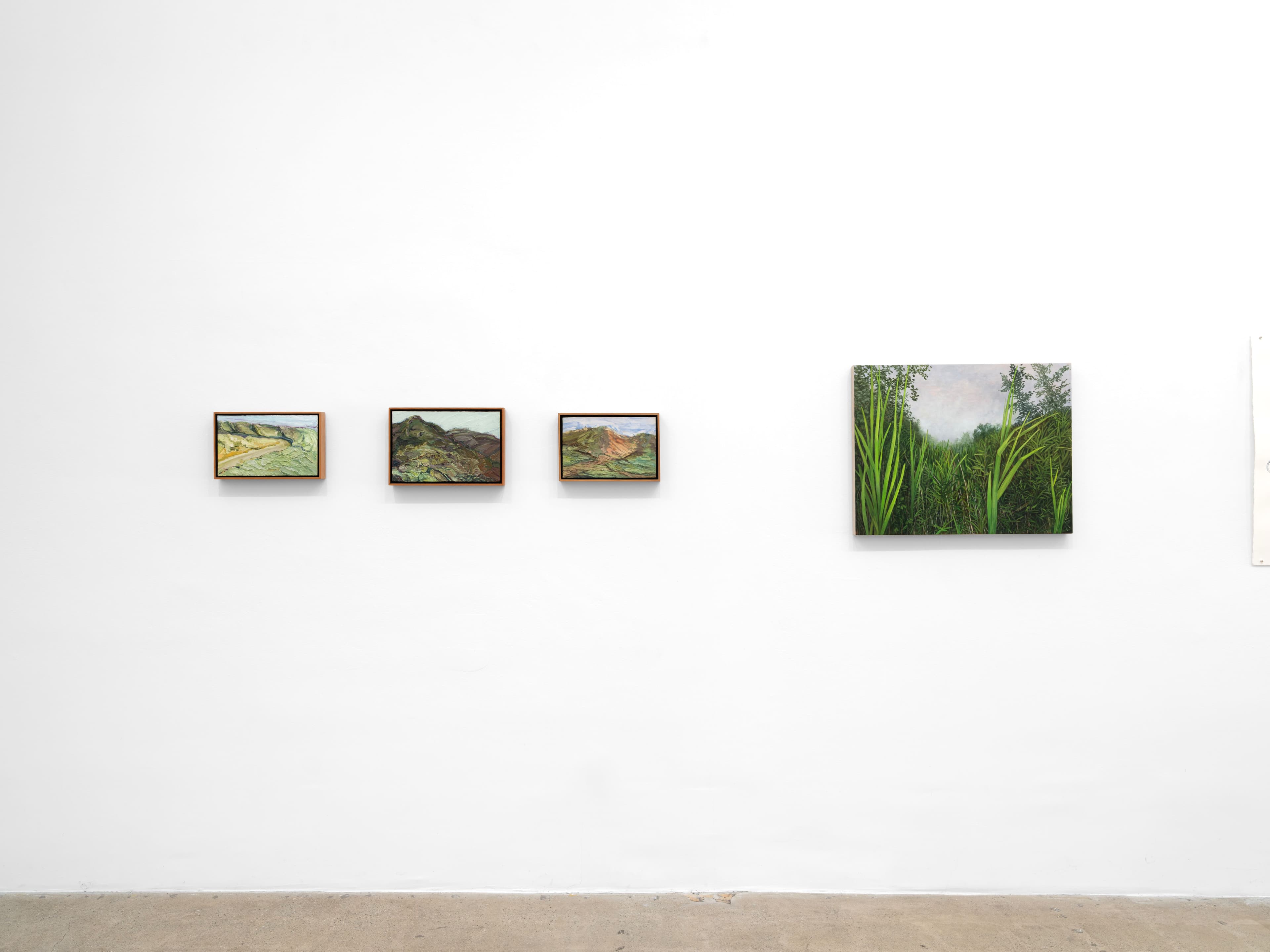 Installation view