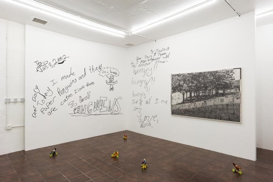Installation view