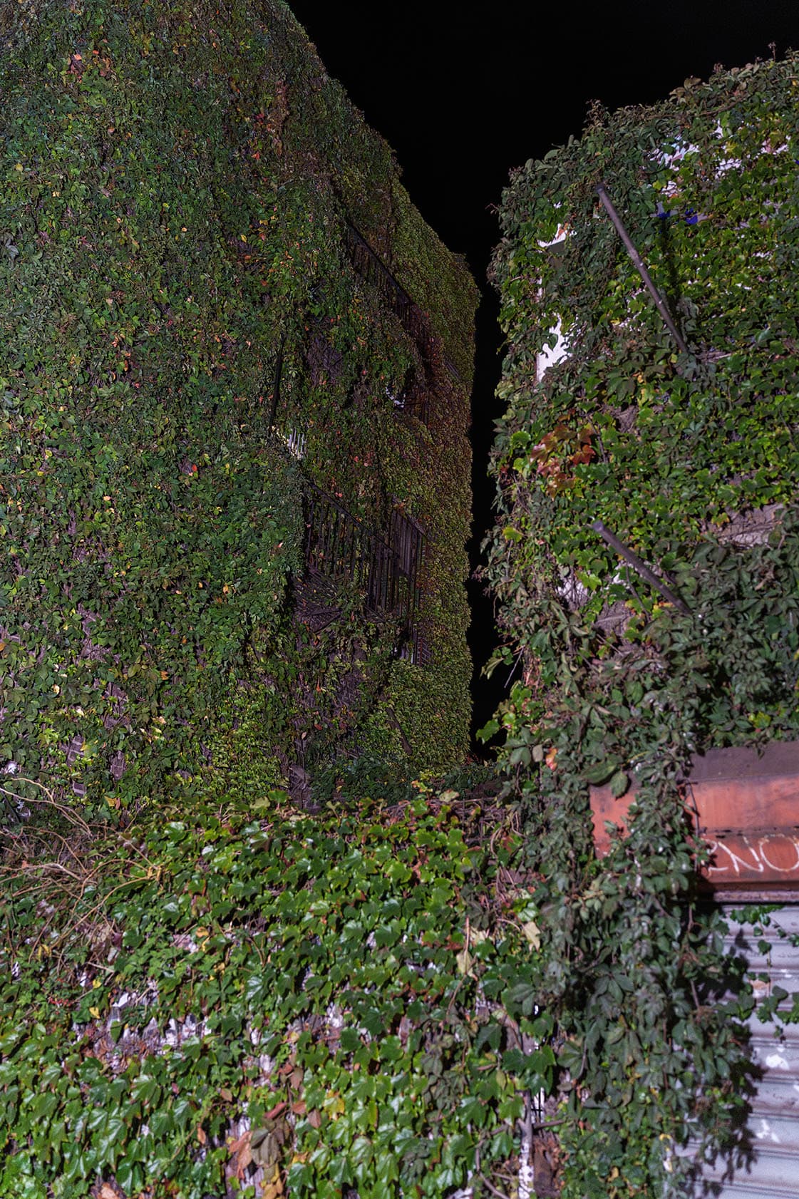 Leonardo Madriz: Do Not Be Afraid