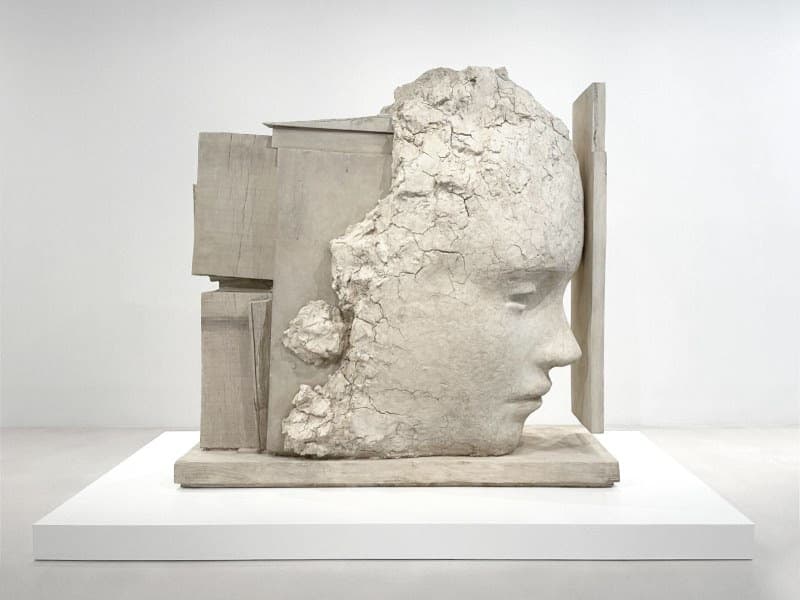 Mark Manders
