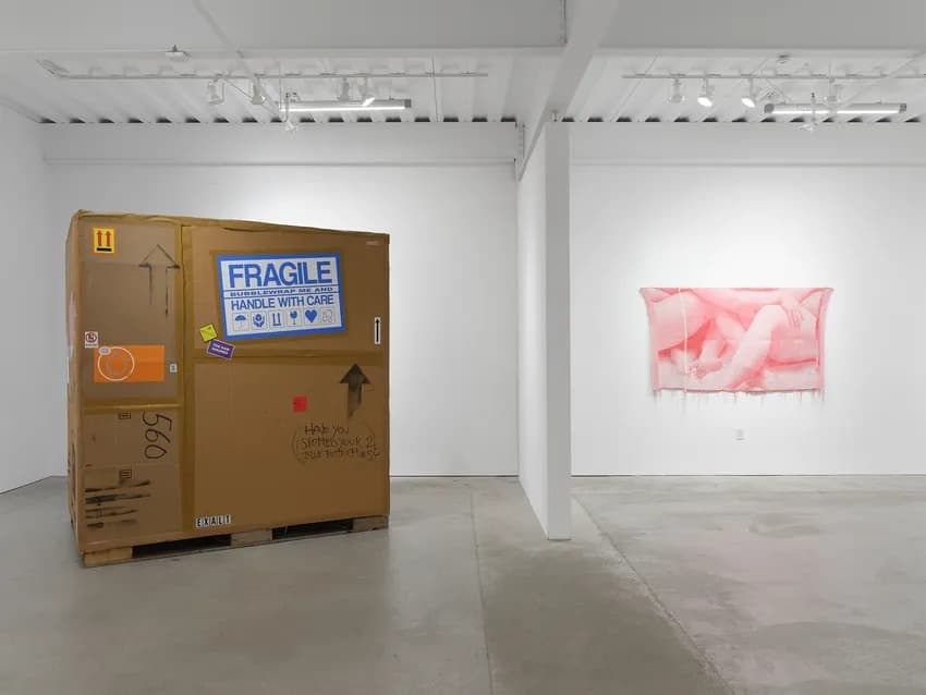 Installation view