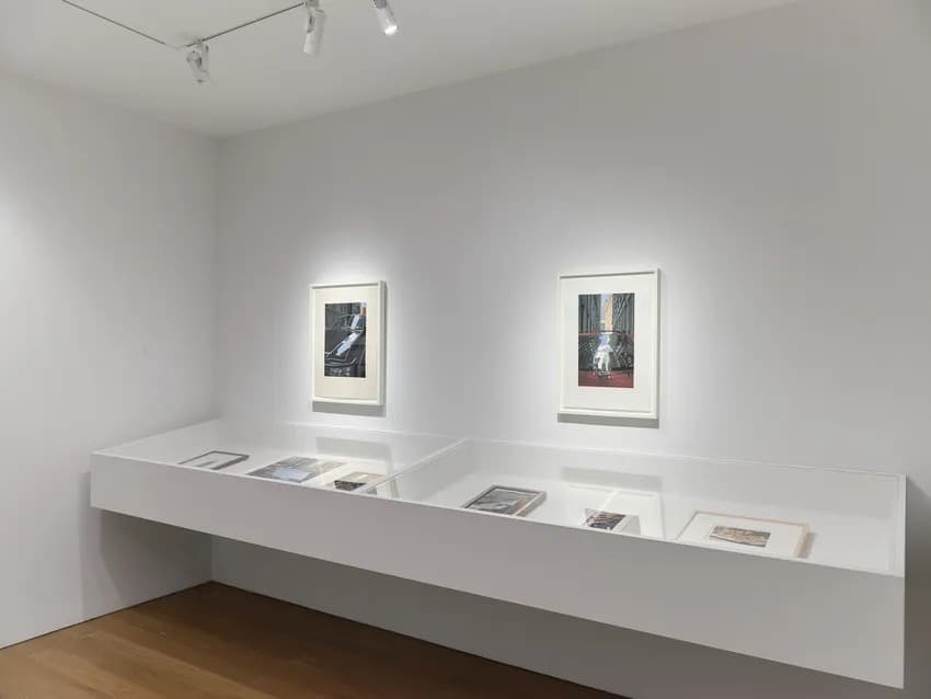 Installation view 3 of 7