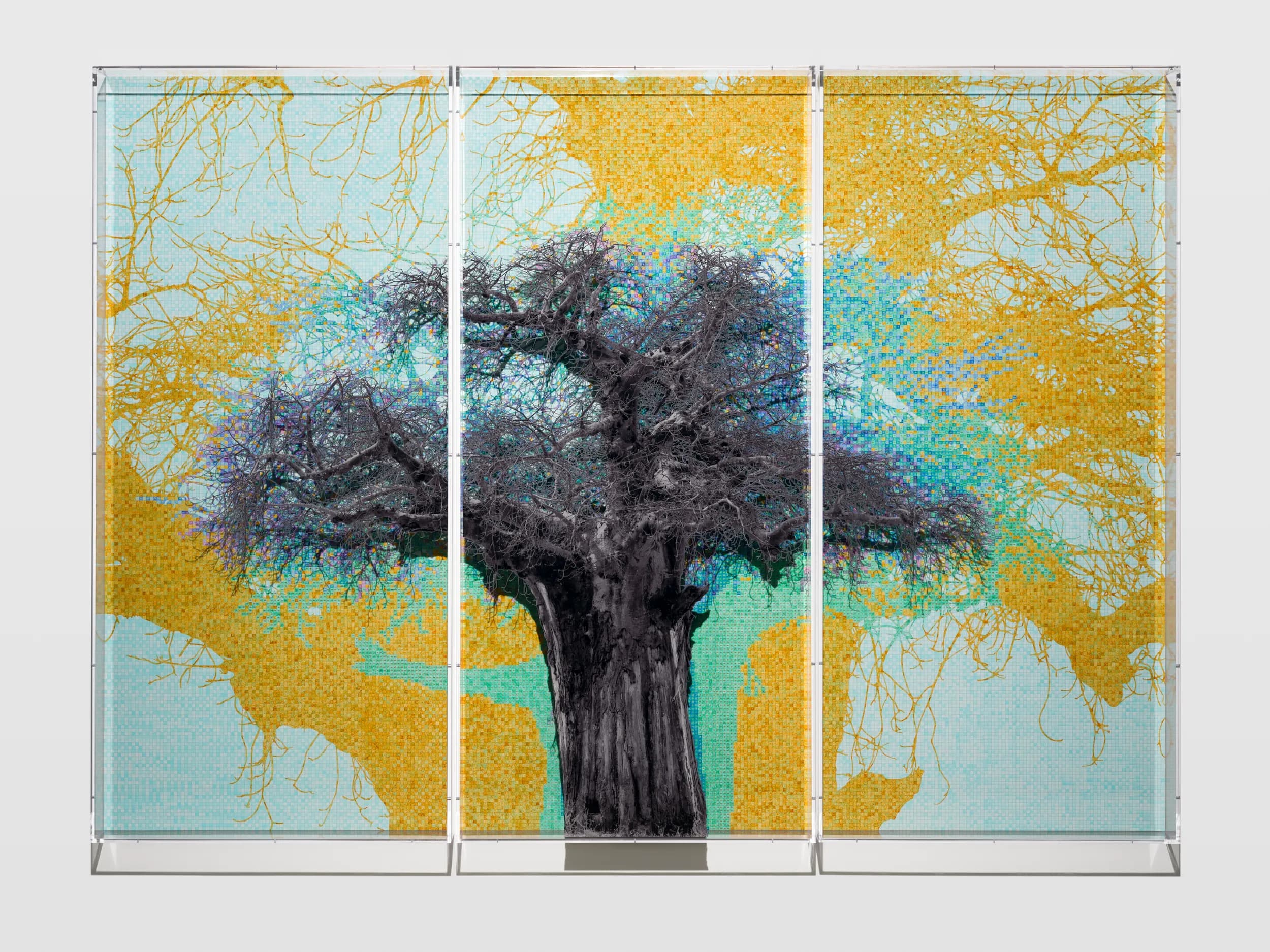 Installation view