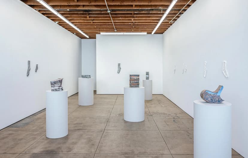 Installation view, Ry Rocklen: Desert Lenses, Wilding Cran Gallery, Los Angeles, 2026