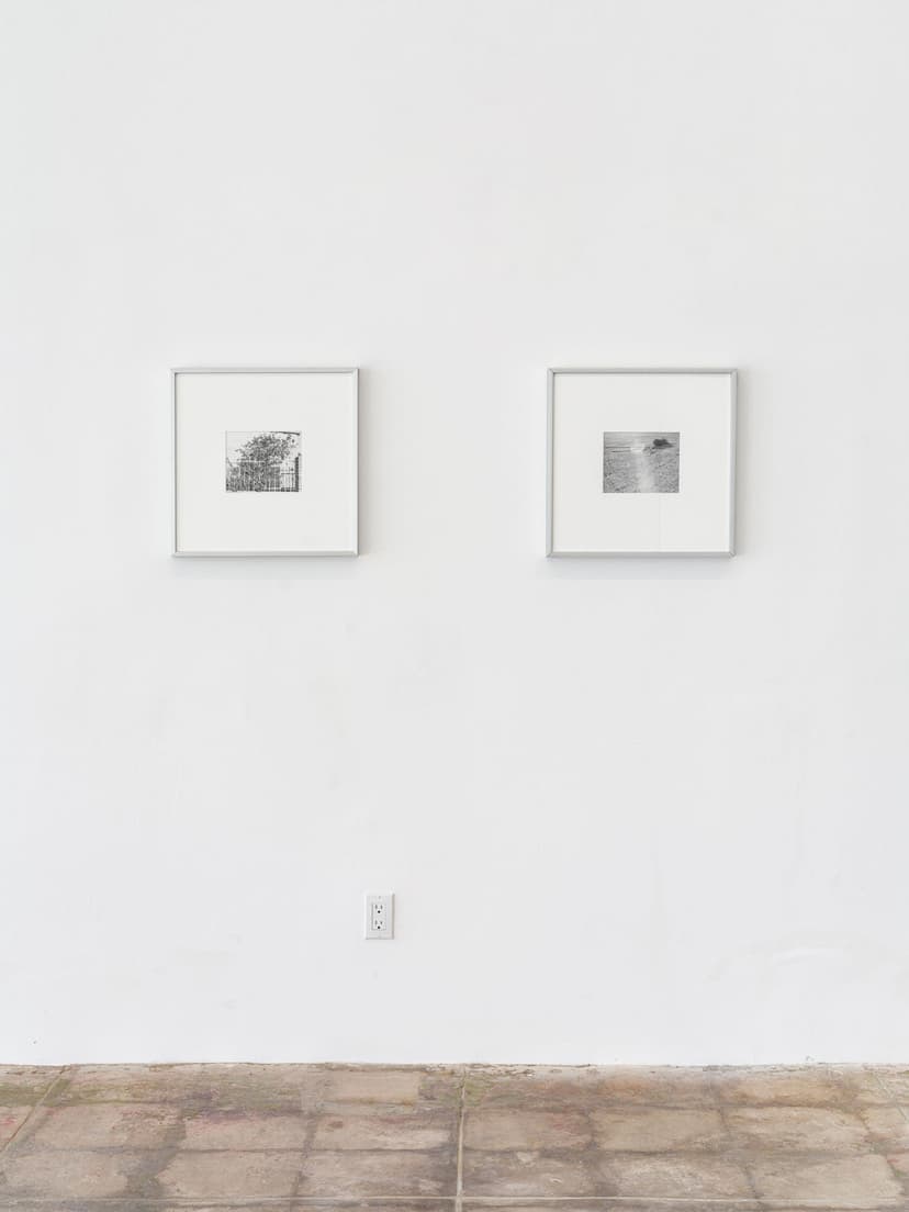 Installation view, Ramon Saturnino: bulgaria;mexicali, Frankfurt Ordorica, Los Angeles, 2026