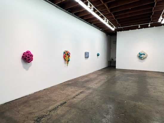 Installation view, Nathan Vincent: The Shape of Awareness, Walter Maciel Gallery, Los Angeles, 2026
