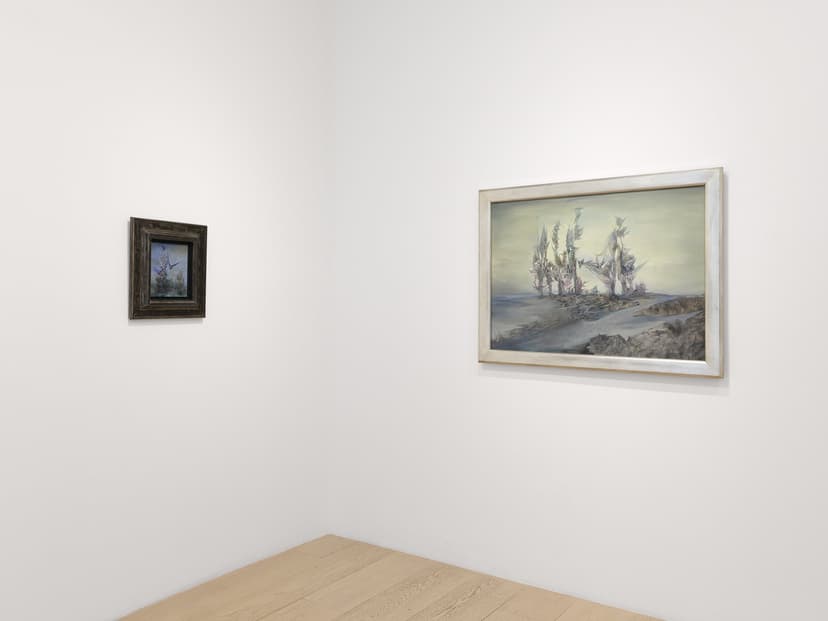 Installation view, Wolfgang Paalen and Alice Rahon | Worlds Gone and to Come, Gallery Wendi Norris, San Francisco, 2026