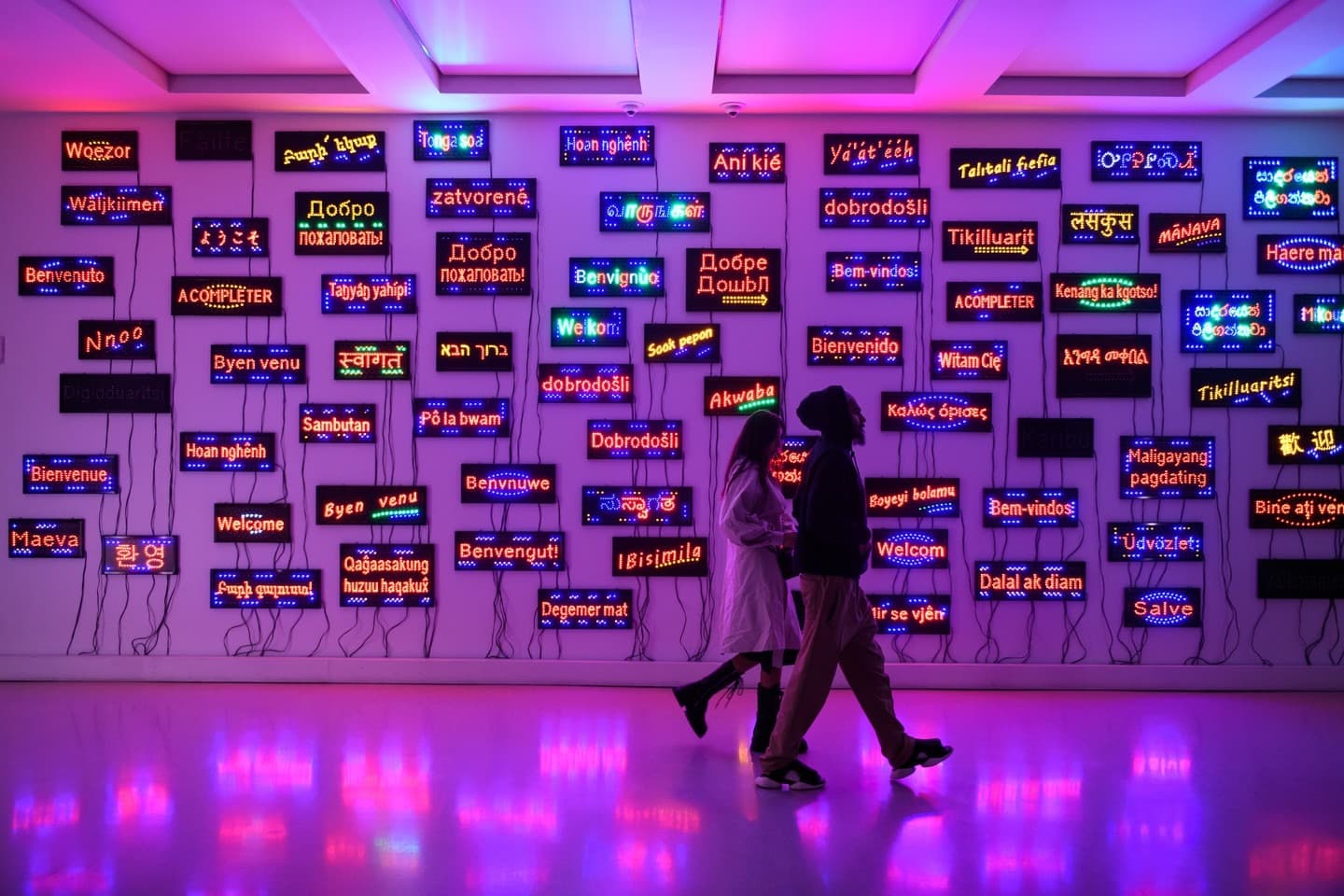 Installation view
