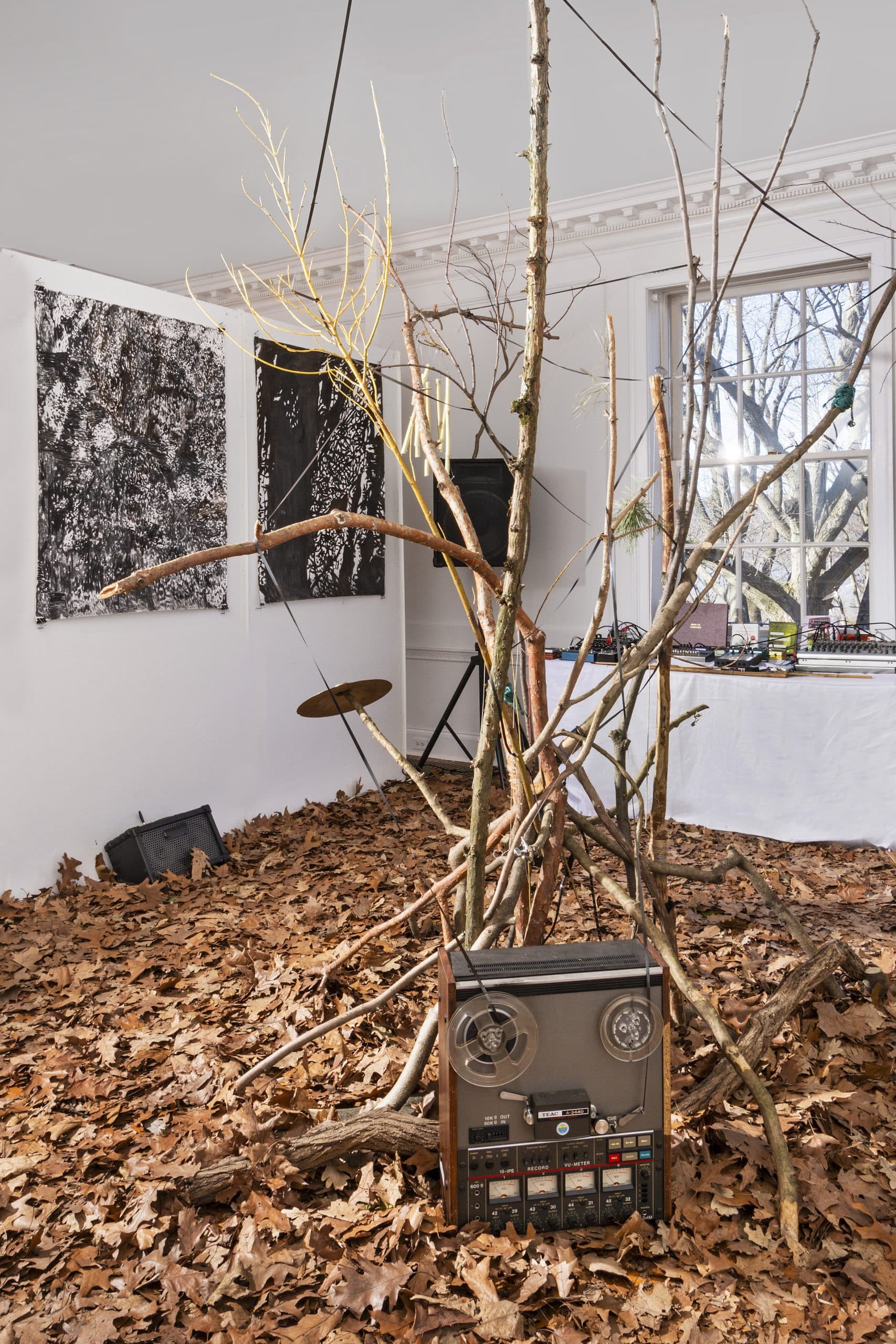 Installation view