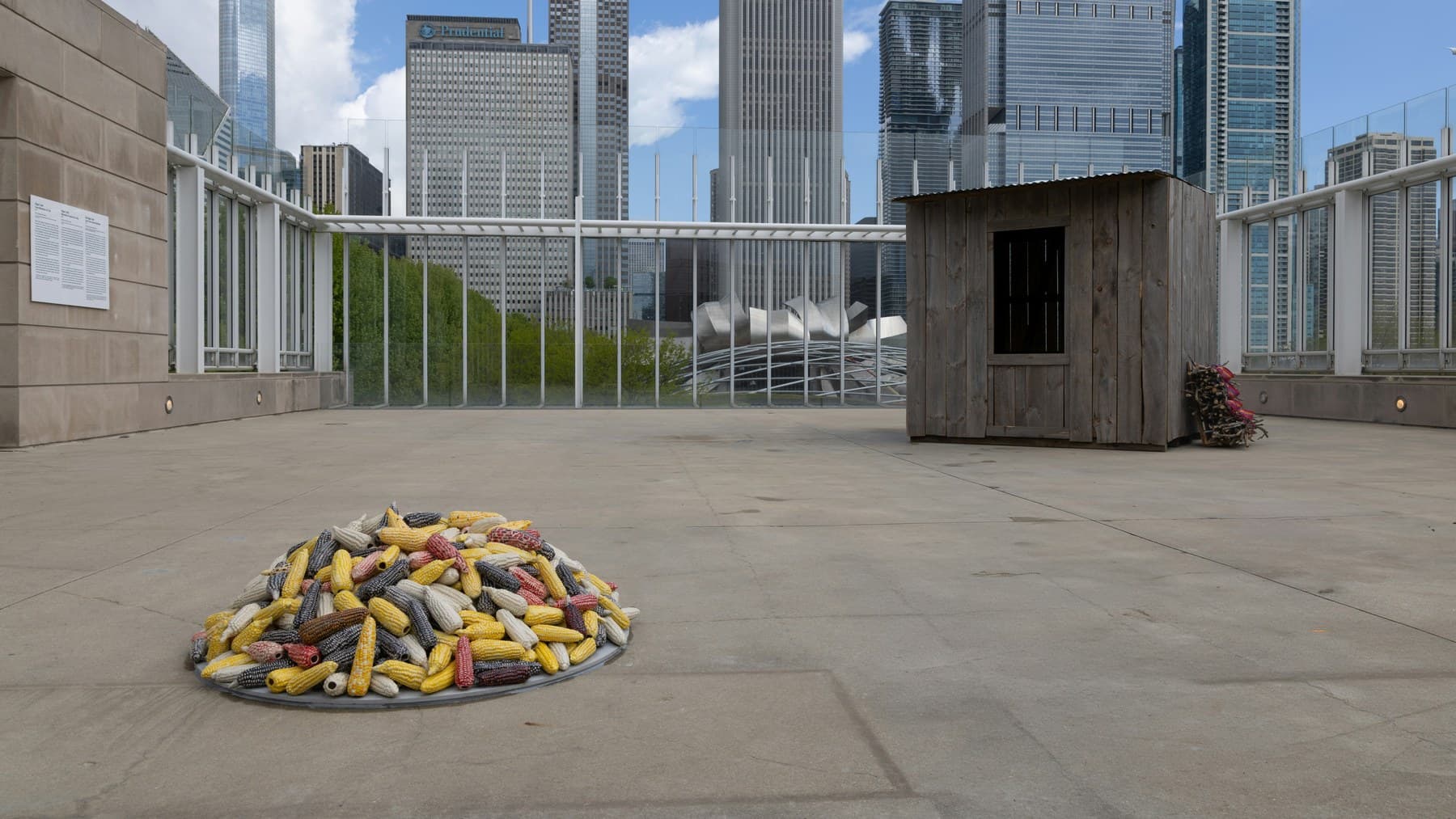 Installation view
