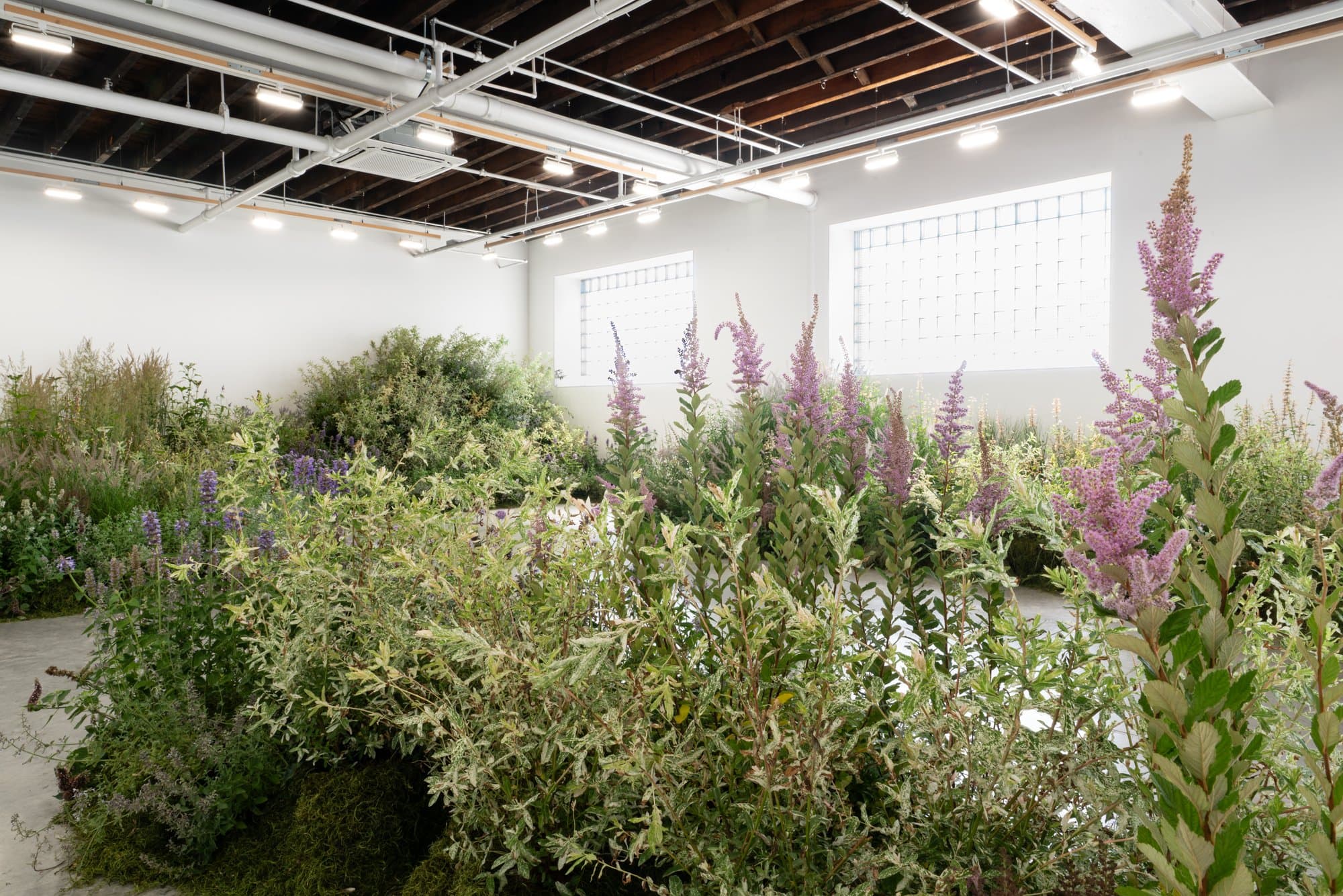 Installation view