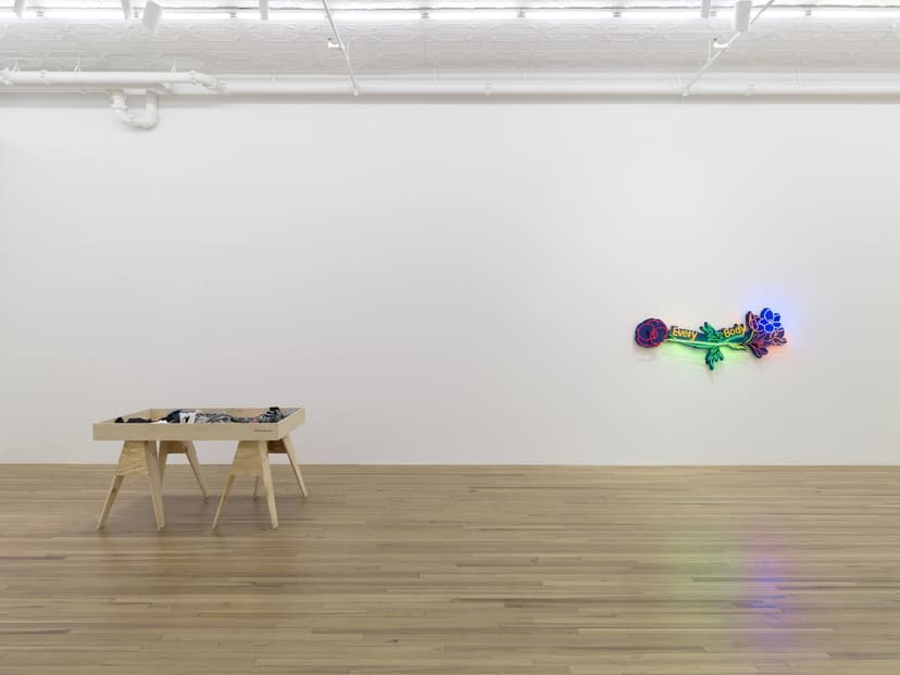 Installation view, Andrea Bowers: Democracy Needs Our Courage, Andrew Kreps Gallery, New York, 2026. Photo: Elisabeth Bernstein