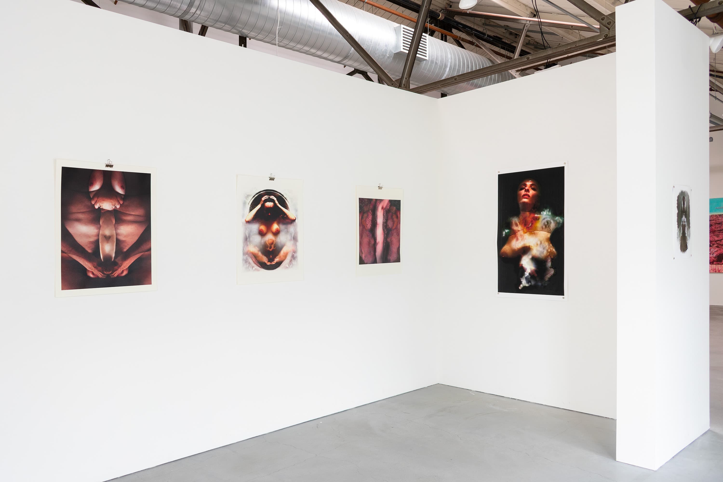 Installation view