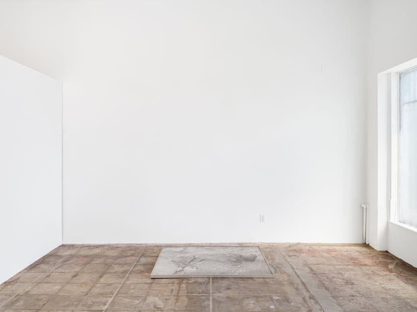 Installation view, Ramon Saturnino: bulgaria;mexicali, Frankfurt Ordorica, Los Angeles, 2026