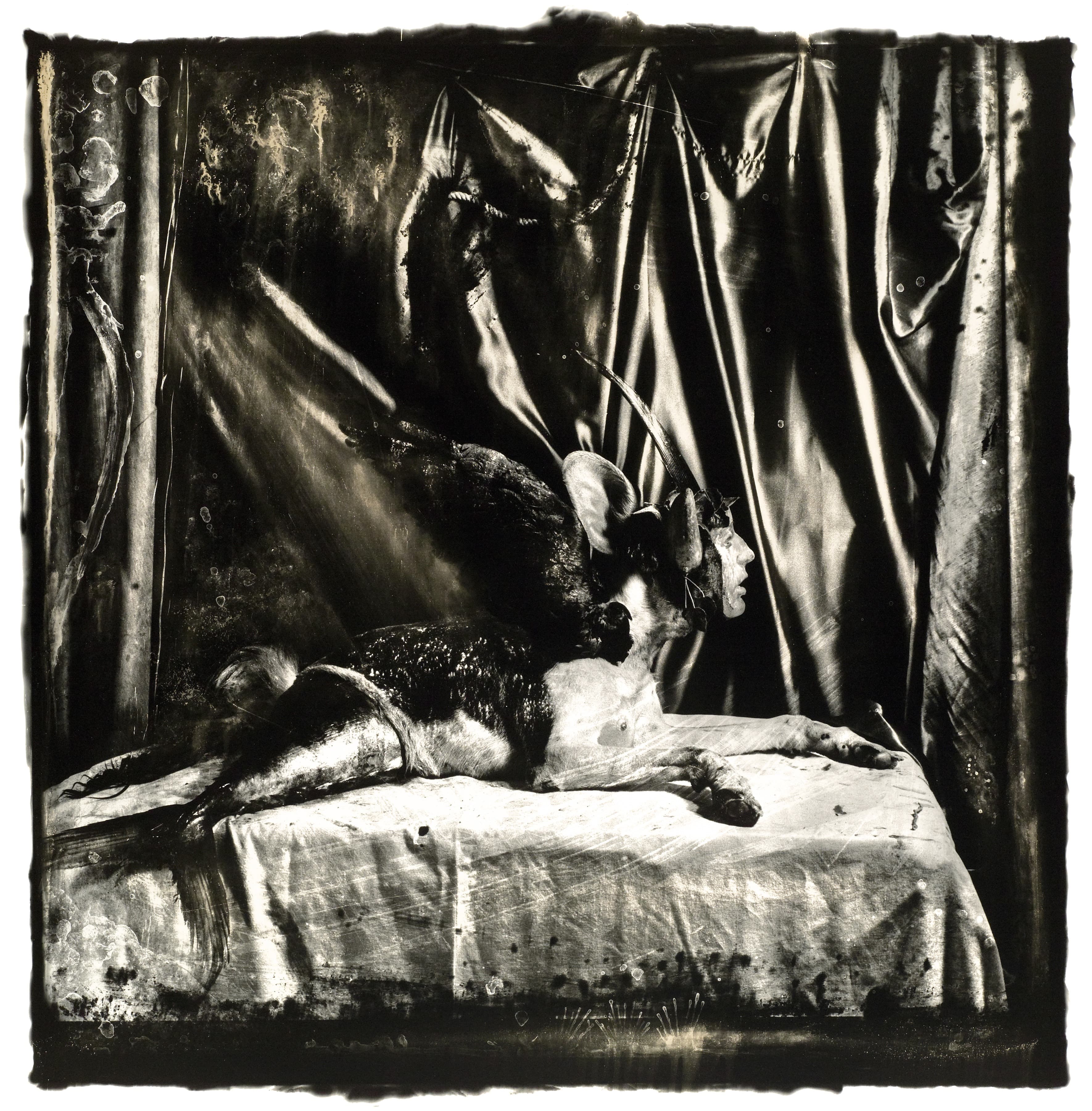 Artist Reception for Joel-Peter Witkin: Selected Works 1974-2018