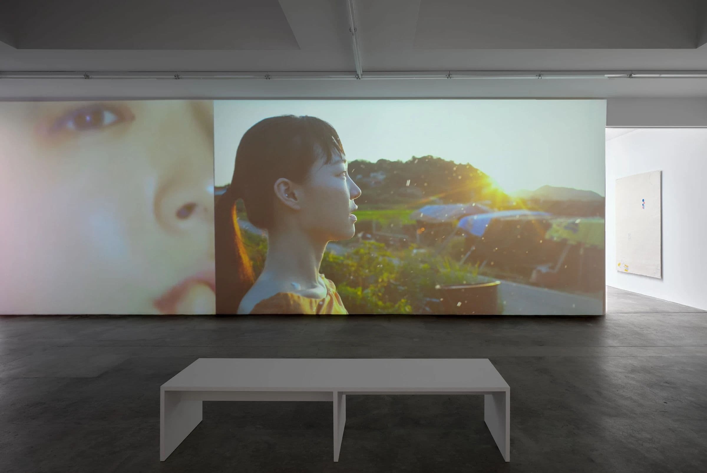 Installation view