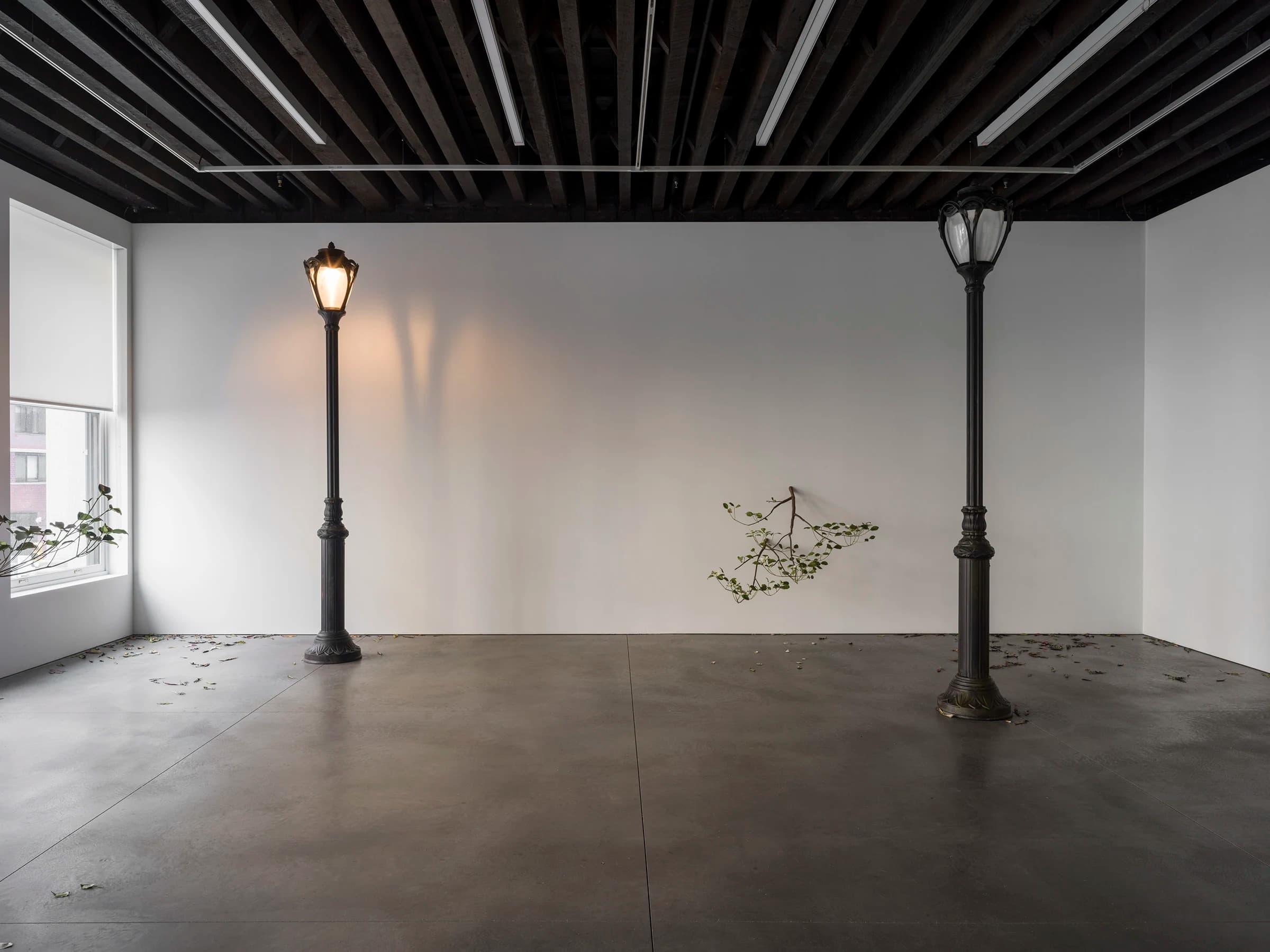 Installation view