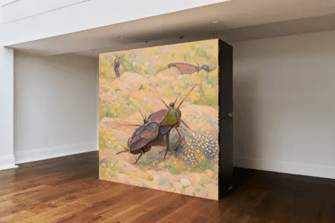 Installation view
