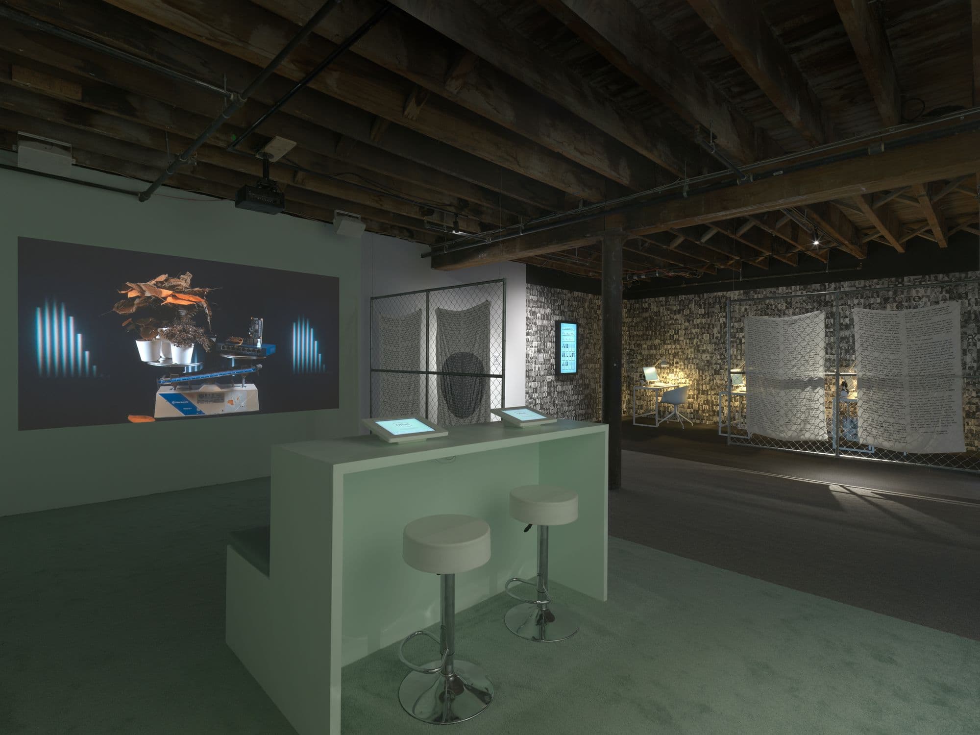 Installation view