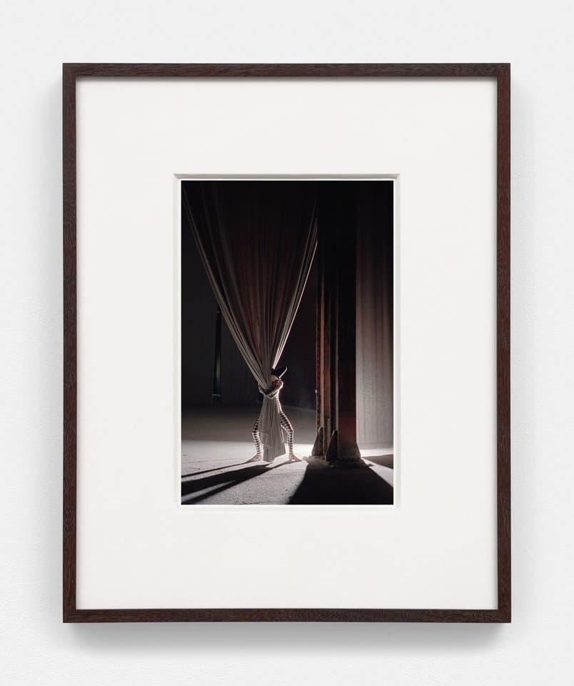 Torbjørn Rødland: Bones in the Canal and Other Photographs