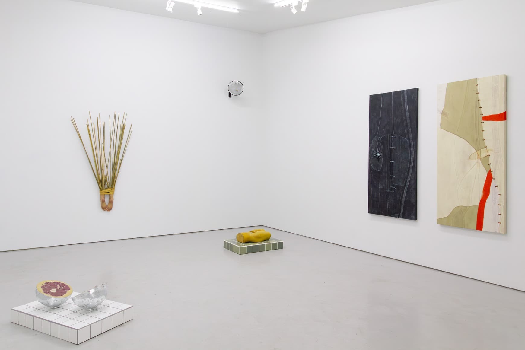 Andrius Alvarez-Backus: I Want to Know, I Need to Know