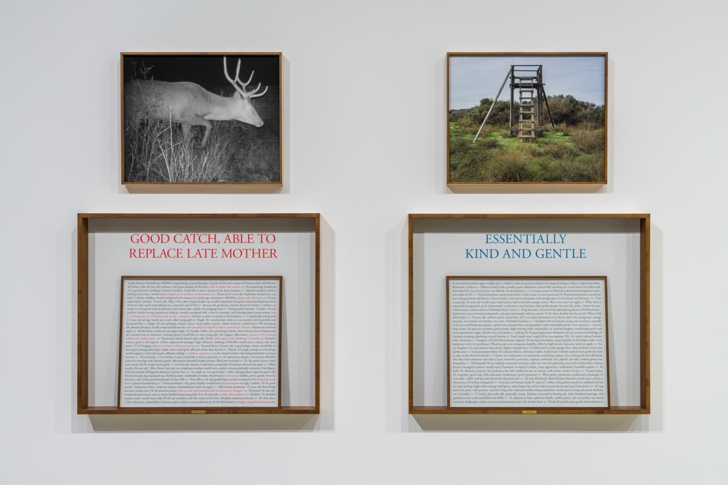 Installation view